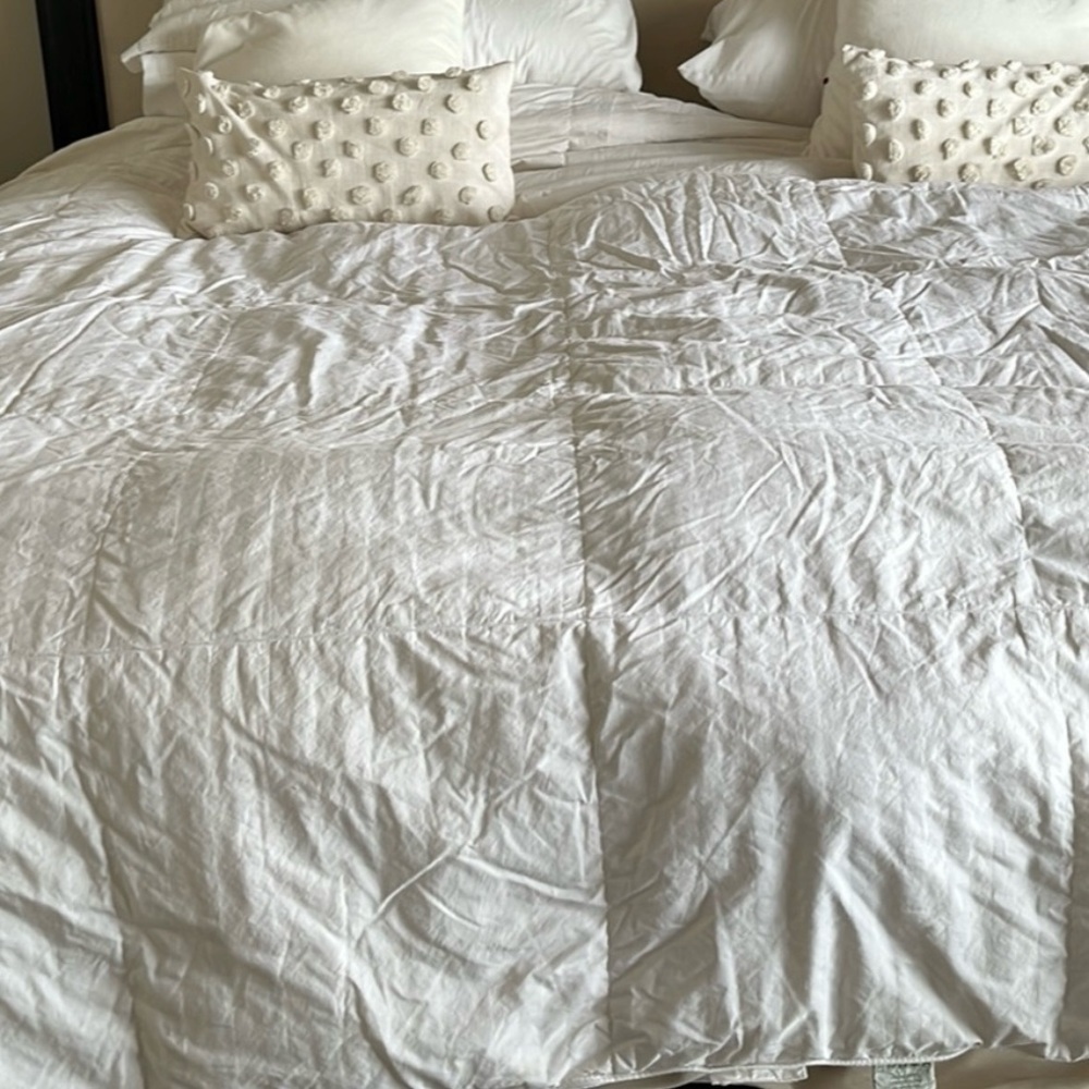 Eddie Bauer Home King-sized Down Duvet